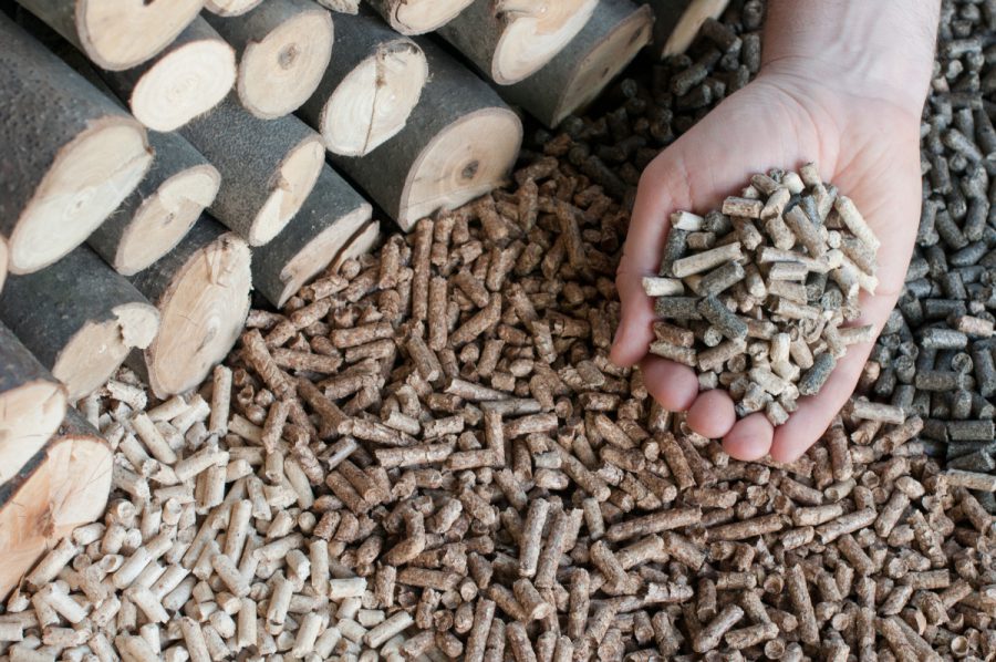 Vanjskotrgovinska/Spoljnotrgovinska komora BiH pozdravlja odluku o zabrani izvoza određenih šumskih drvnih sortimenata, ogrjevnog drva i proizvoda od drva