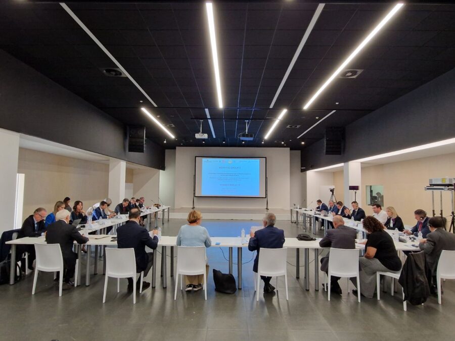 Predsjednik i dopredsjednik VTK/STK BiH na konferenciji o miru u stabilnosti između Evrope i Mediterana