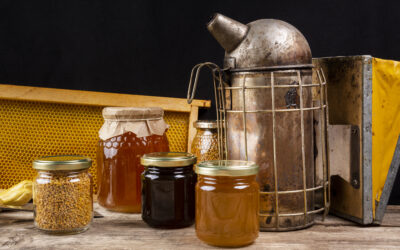 Poziv za učešće u obilježavanju Svjetskog dana pčela – Madrid 2026