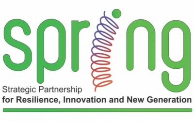 Poziv na info sesiju povodom Prvog javnog poziva u okviru komponente „Challenge2Change i internacionalizacija“ programa SPRING